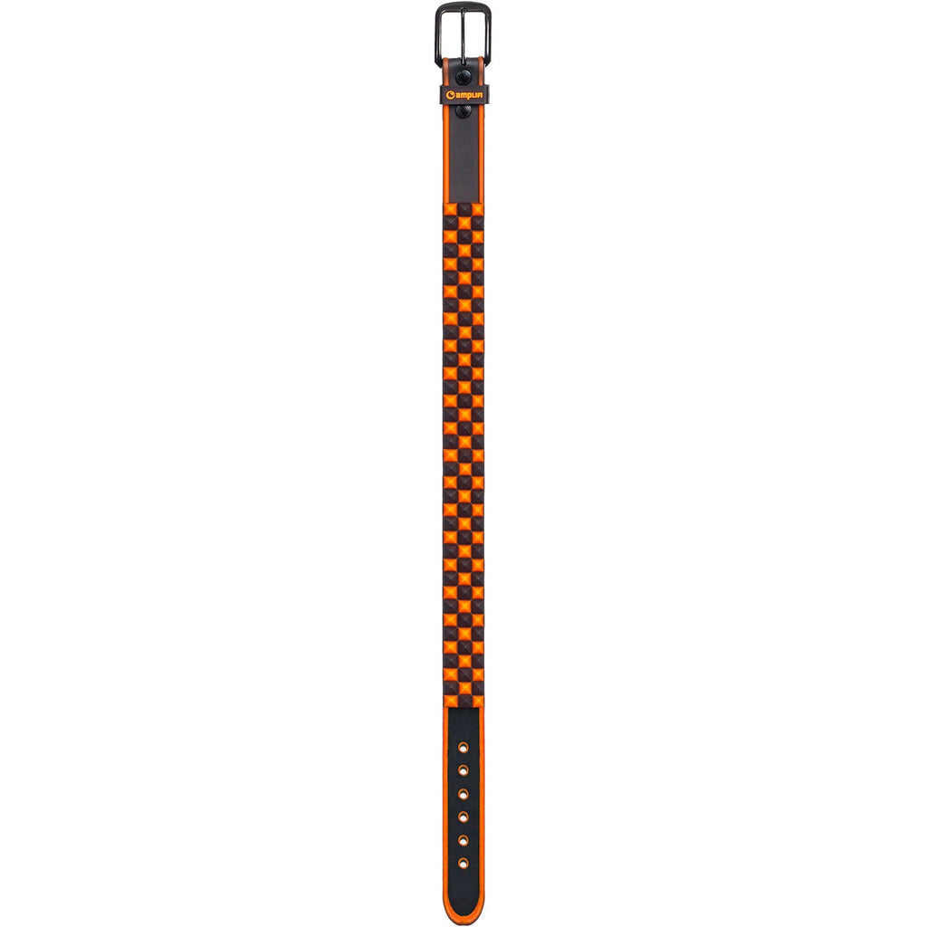 AMPLIFI Stud Team Belt