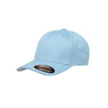 FlexFit Cap Youth Blank light blue